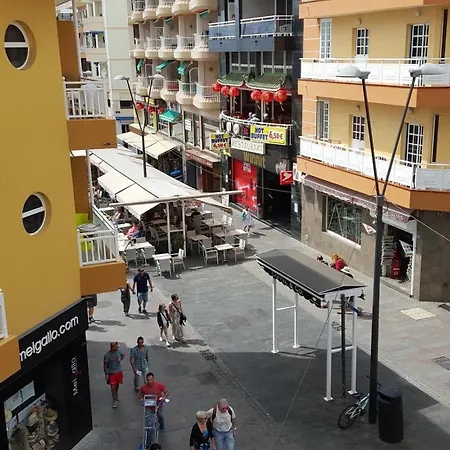 Apartment Cristianos *